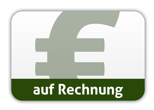 Rechnung Zahlung auf Rechnung